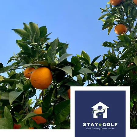 Stayngolf *